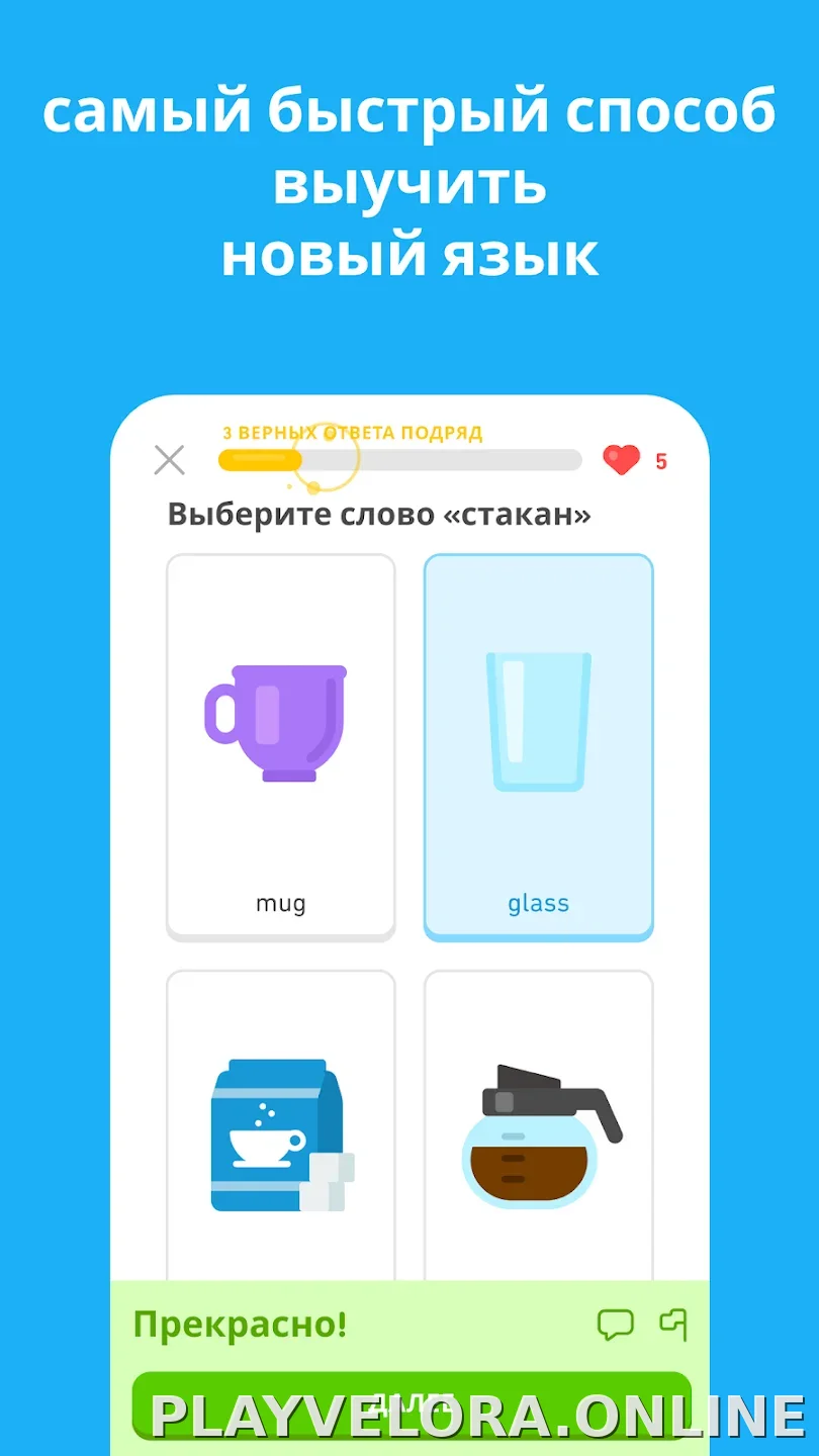 Дуолинго скриншот 5