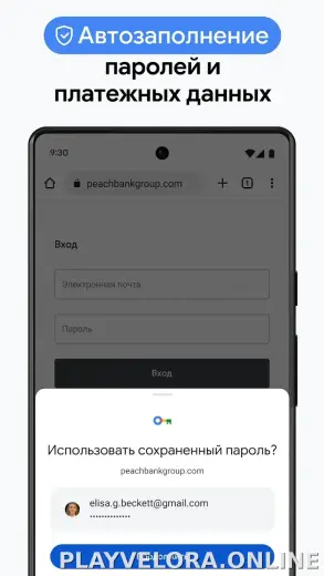 Google Chrome скриншот 6