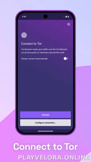 Tor Browser скриншот 1